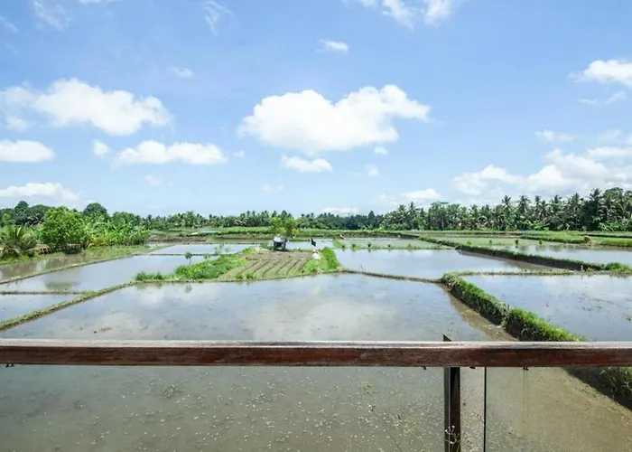 Luxurious 2br With Private Pool & Rice Field Views In Villa Ubud