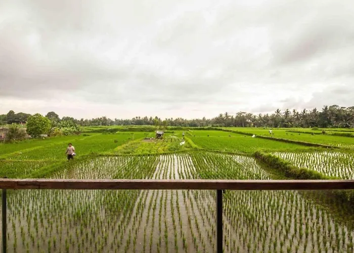 Villa Luxurious 2br With Private Pool & Rice Field Views In *