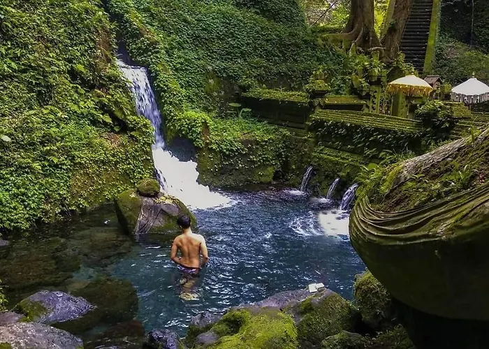 Luxurious 2br With Private Pool & Rice Field Views In Villa Ubud